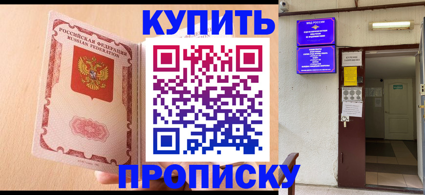 прописка регистрация в Дмитрове